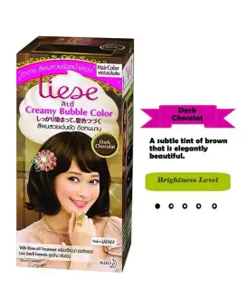Liese Bubble Hair Color 60ml Dark Chocolate