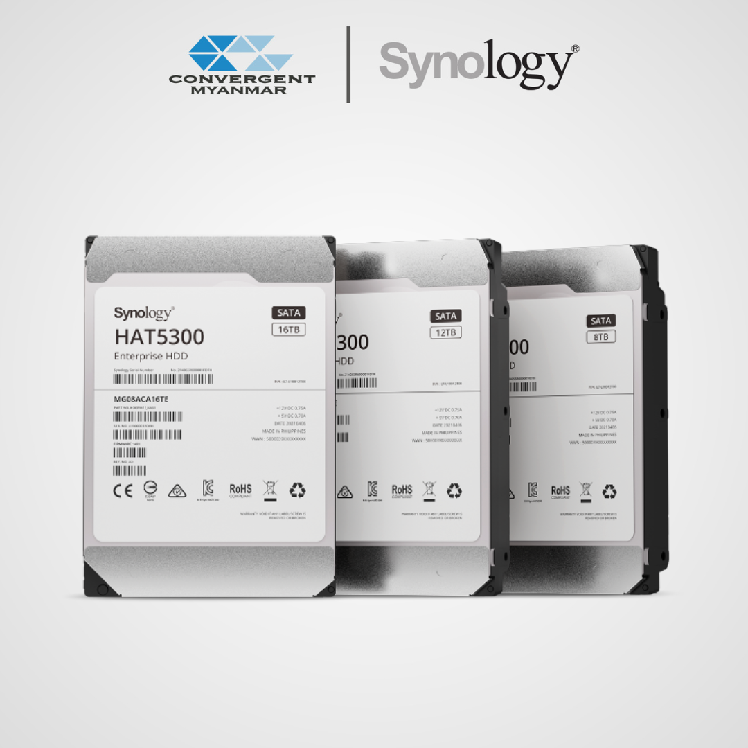 SYNOLOGY Enterprise Grade Hard Disk HAT5300 3.5 inch Internal SATA