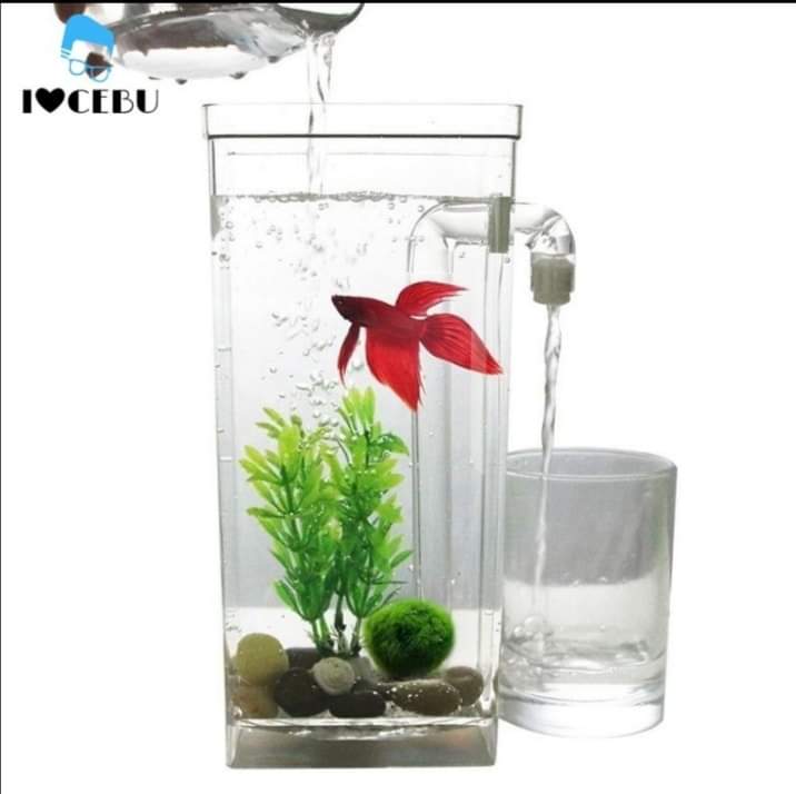 Fun Self Cleaning Fish Tank ubicaciondepersonas.cdmx.gob.mx