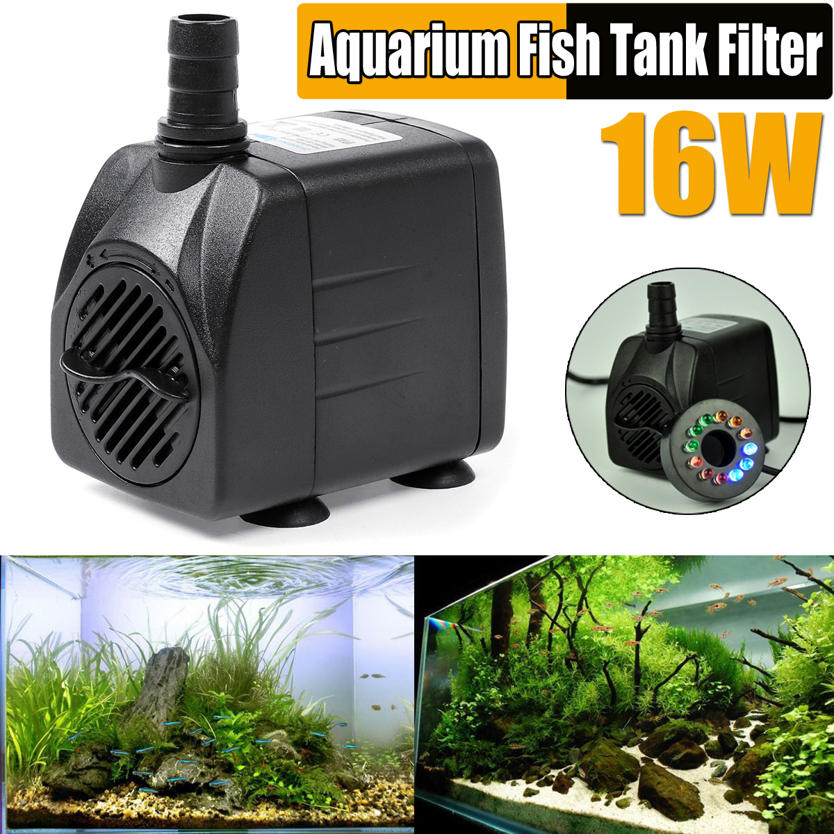 fish tank aquarium store