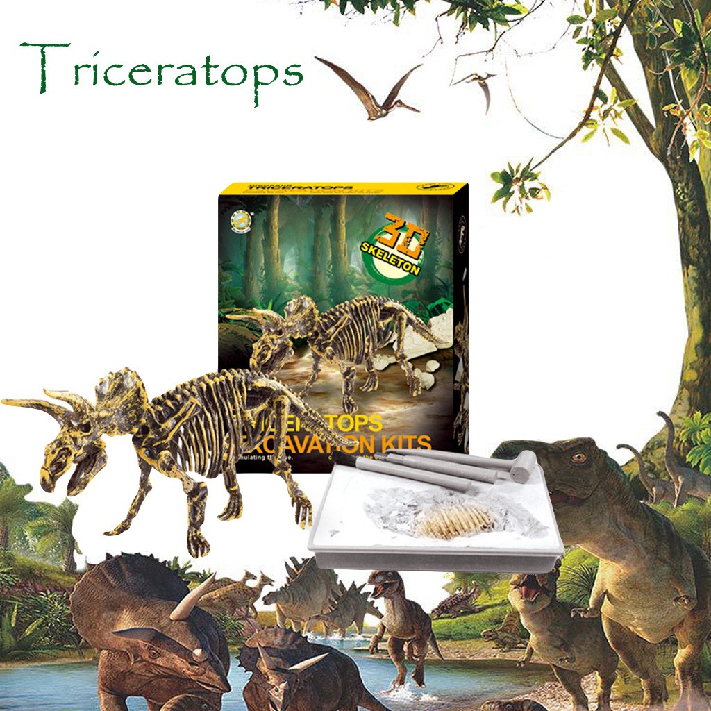 dinosaur activity set