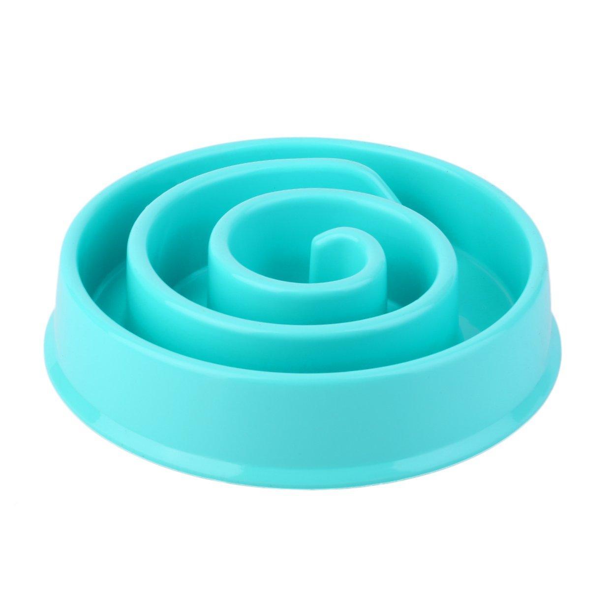 Buy Warrior Cadbury Infinity Generic Dog Cat Feeders Wateners