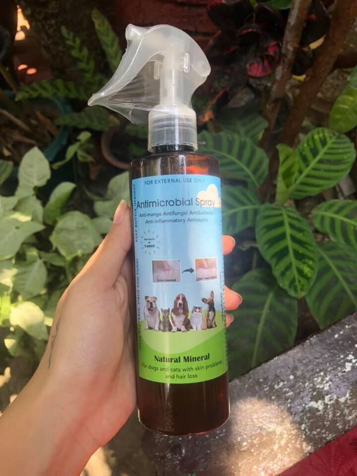 Antimicrobial spray for outlet dogs