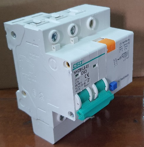 AC 220V 63A 2P Earth Leakage Circuit Breaker (ELCB) – Switch Type, 30mA Trip, 0.1s Response, For Home And Industrial Use