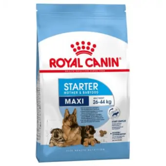 royal canin maxi starter mother & babydog