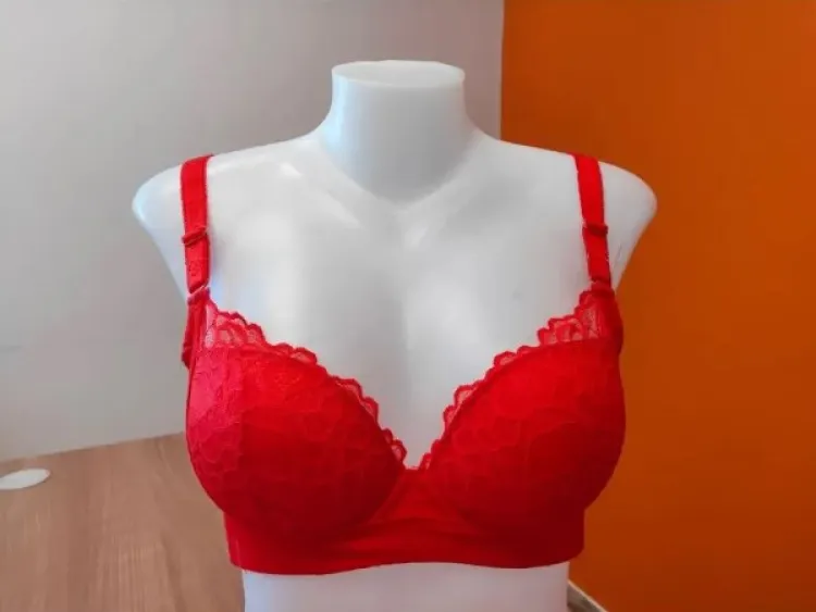 Cosmo Lady Everyday Chic Bra: Comfortable and Stylish Women's Lingerie for  Perfect Daily Wear in the Bras and Lingerie
