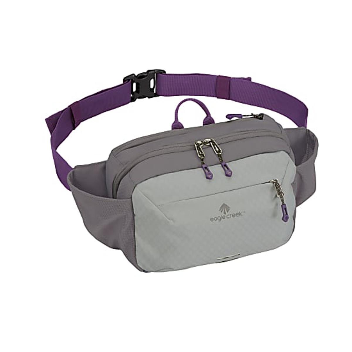 Eagle creek wayfinder waist pack online