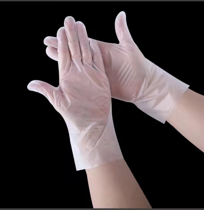 Disposable TPE Gloves | Shop.com.mm
