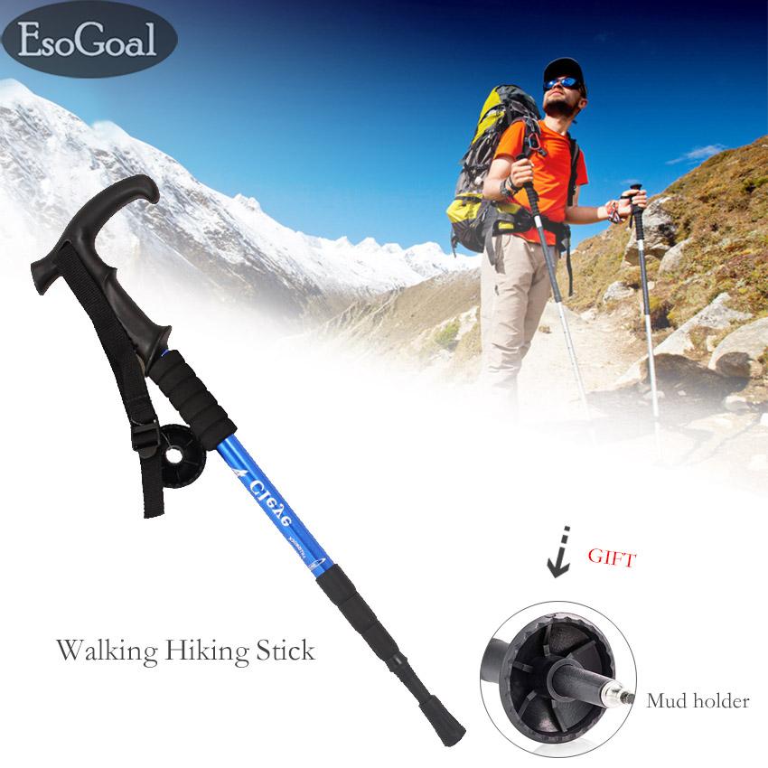buy hiking sticks