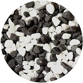 black and white fish tank decorations