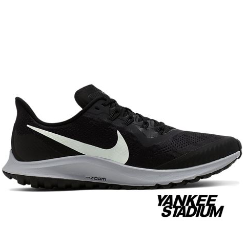 stadium nike pegasus